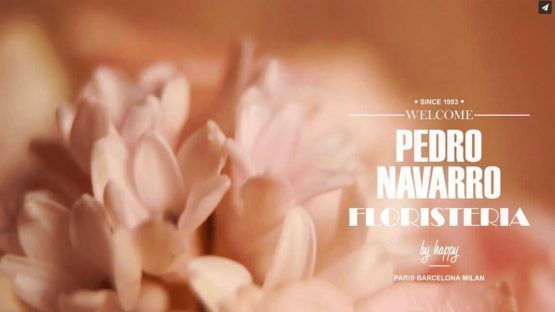 Bodas con Encanto en Madrid